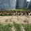 john-deere-8-image-3
