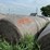 2024-mixed-grass-hay-round-bales-(bid-per-unit)-image-6