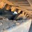 2016-takeuchi-tl8-image-13