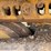 2019-caterpillar-d6t-lgp-image-12