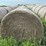 2024-mixed-grass-hay-round-bales-(bid-per-unit)-image-2