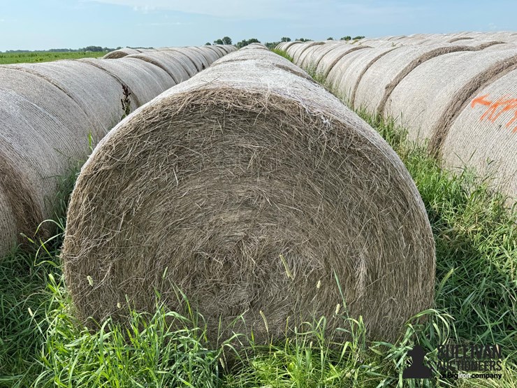 2024-mixed-grass-hay-round-bales-(bid-per-unit)-image-2