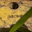 (4)-john-deere-wheel-weights,-part-#:-13404r-image-3