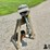 1957-evinrude-fisherman-5.5-outboard-motor-image-2