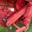 1998-case-ih-2366-image-28