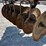 john-deere-630-image-7