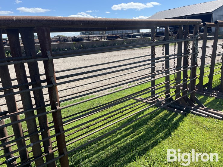 feedlot-panels-image-12