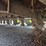 john-deere-115-image-25