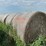 2024-mixed-grass-hay-round-bales-(bid-per-unit)-image-3