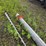 sump-auger-out-of-a-24’-grain-bin,-6”-unload-image-8