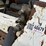 bobcat-s250-image-6