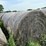 2024-mixed-grass-hay-round-bales-(bid-per-unit)-image-4