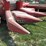 dion-1224-image-6