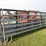 (4)-hd-16'-pipe-gates-image-1