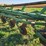 john-deere-6-image-11
