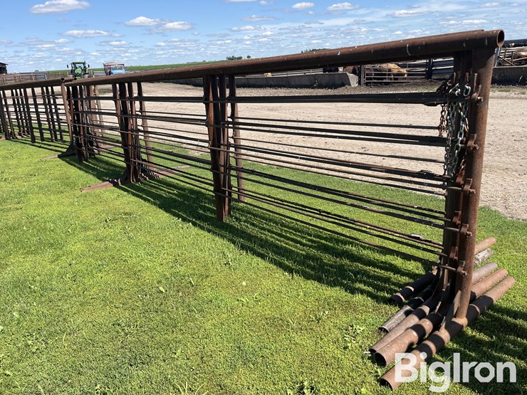 feedlot-panels-image-5