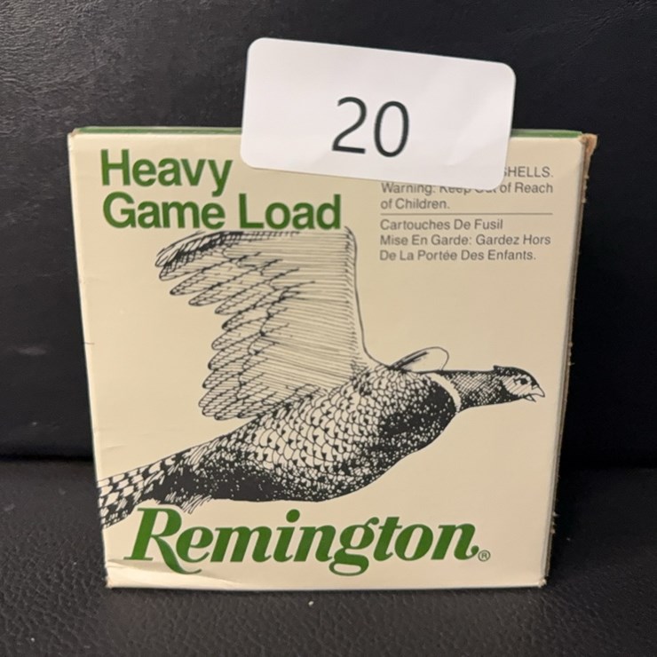 25 Plastic Shotshells (Ammo)