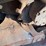takeuchi-tl10v2-image-8