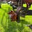 international-700-image-7