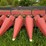 case-ih-1083-image-6