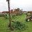 john-deere-no.5-image-2