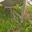 (2)-lowry-30-ton-bulk-bins,-loading-is-available-image-10