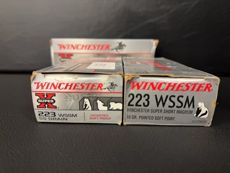 223-wssm-(ammo)-image-2