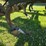 2016-john-deere-18-image-58