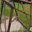150-gallon-fuel-tank-&-stand-image-14