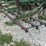 john-deere-960-image-4