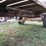 hayrack-image-3