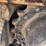 2019-caterpillar-316fl-image-34