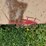 new-holland-28-image-13