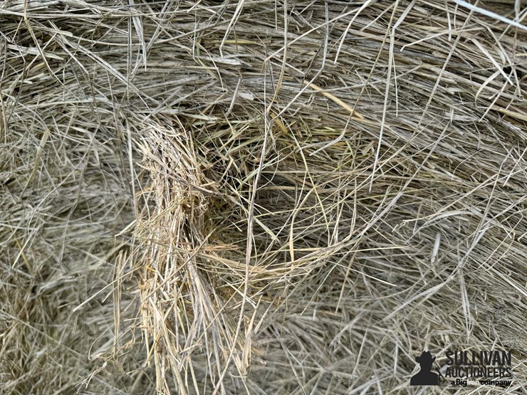2024-mixed-grass-hay-round-bales-(bid-per-unit)-image-7