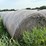 2024-mixed-grass-hay-round-bales-(bid-per-unit)-image-4