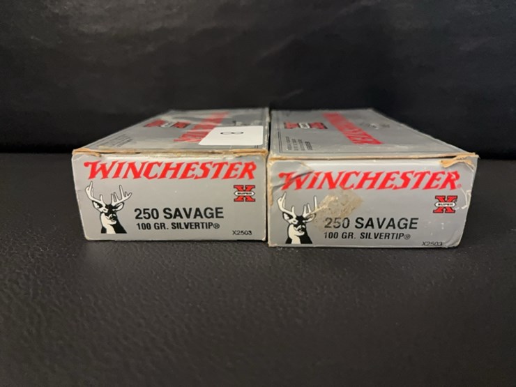250-savage-silvertip-(ammo)-image-2