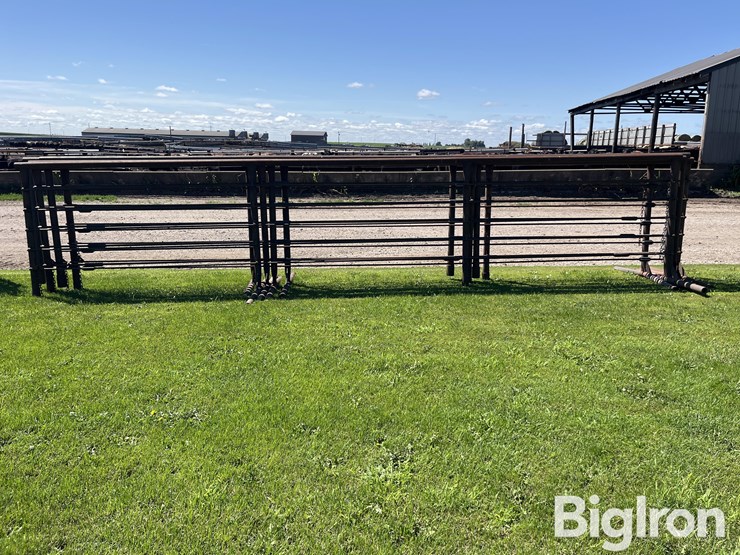 feedlot-panels-image-6