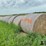 2024-mixed-grass-hay-round-bales-(bid-per-unit)-image-3