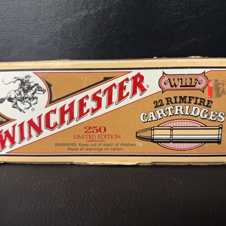 Winchester 22 Rim Fire (Ammo)
