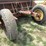 soil-mover-scraper-image-6