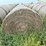 2024-mixed-grass-hay-round-bales-(bid-per-unit)-image-2