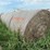 2024-mixed-grass-hay-round-bales-(bid-per-unit)-image-3