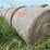 2024-mixed-grass-hay-round-bales-(bid-per-unit)-image-3