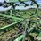 john-deere-960-image-12