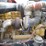 1994-peterbilt-379-image-28