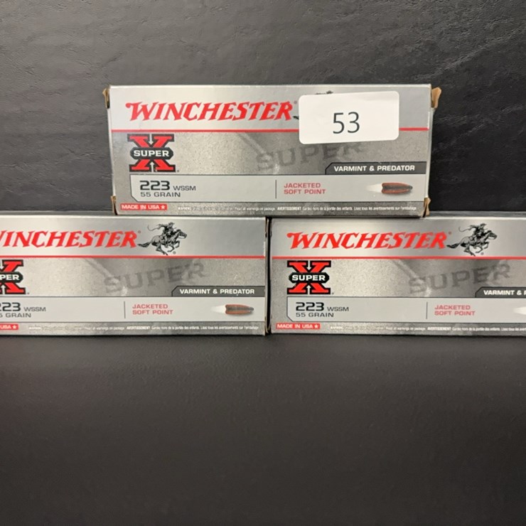 223 WSSM (Ammo)