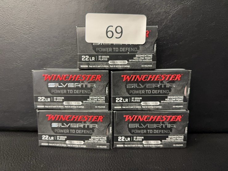 winchester-22-long-rifle-silvertip-(ammo)-image-1