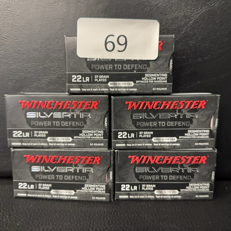 Winchester 22 Long Rifle Silvertip (Ammo)