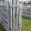 (3)-8'-high-pole-swinging-gates-image-5