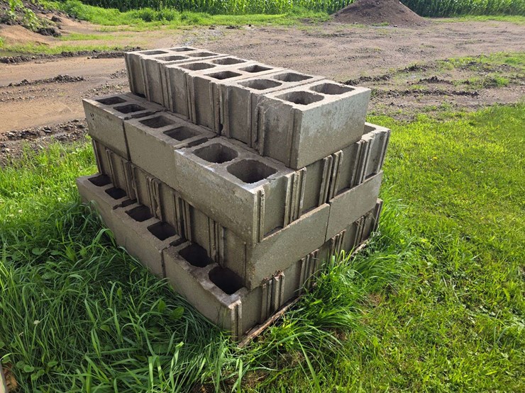(2)-pallets-of-cinder-blocks,-buying-all-for-one-money-image-2